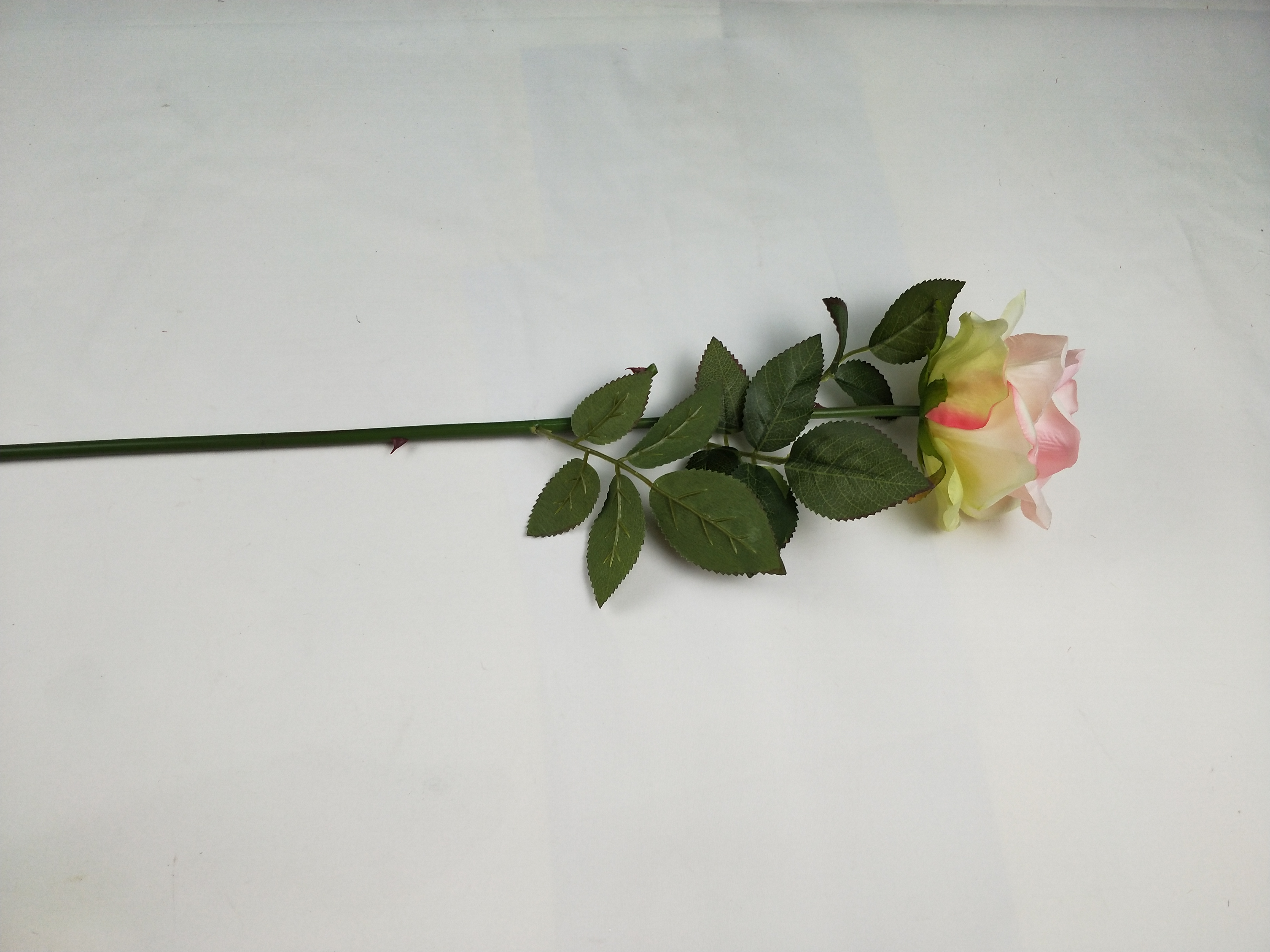 IMG20200510163945.jpg