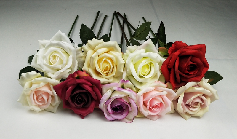 IMG20200510164138.jpg