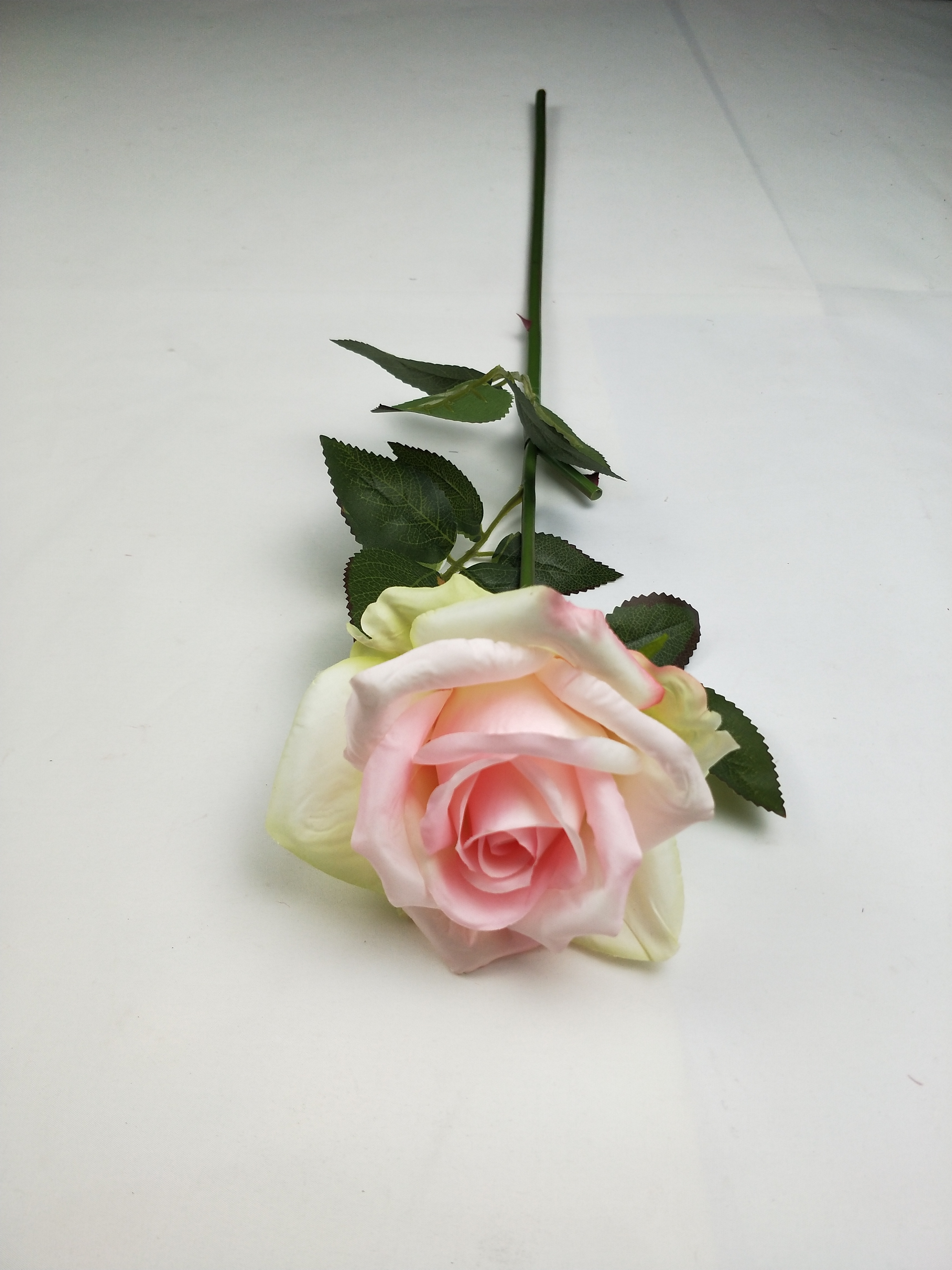 IMG20200510163925.jpg