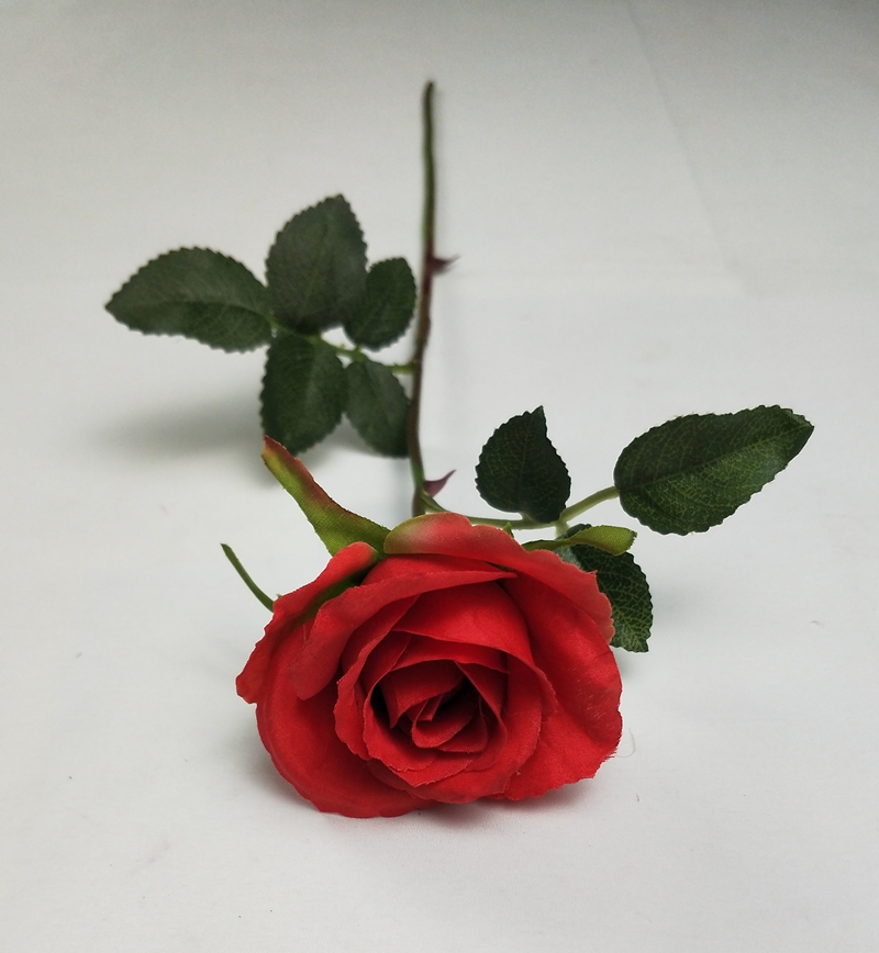 IMG20200510143718.jpg