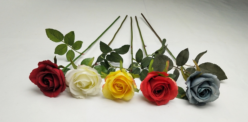 IMG20200510143846.jpg