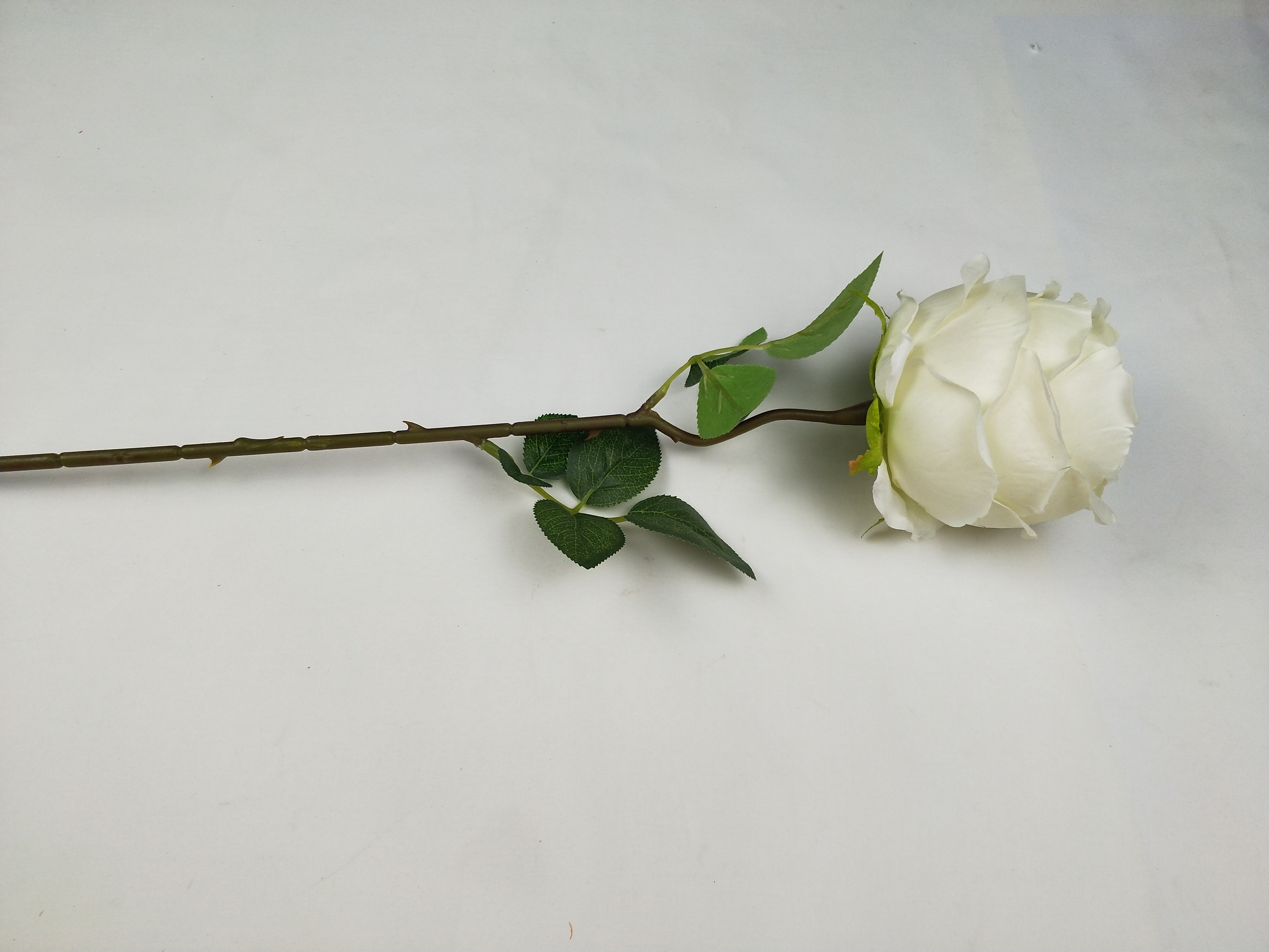 IMG20200510162410.jpg