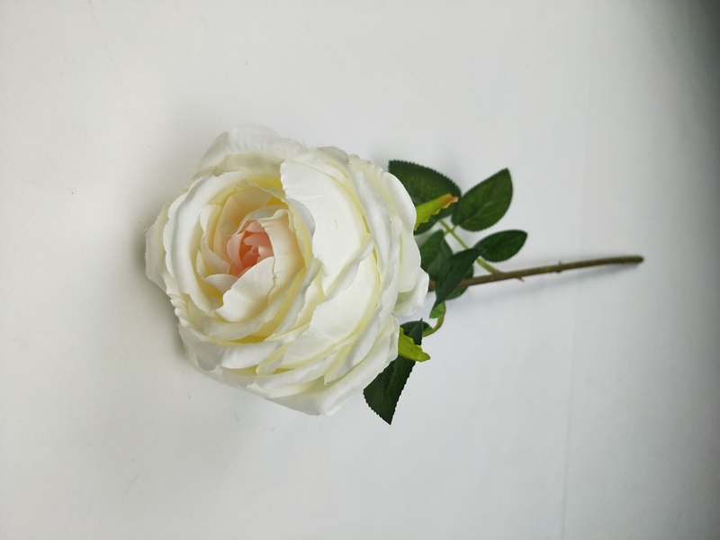 IMG20200510162356.jpg