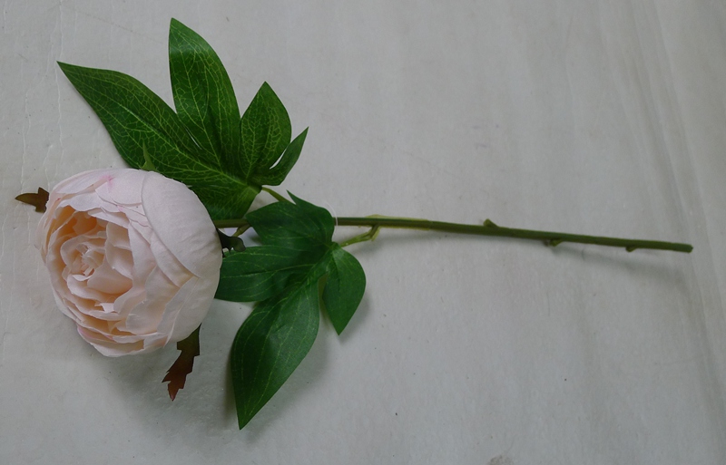 101062A PEACH.JPG