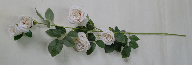 101087 WT.JPG