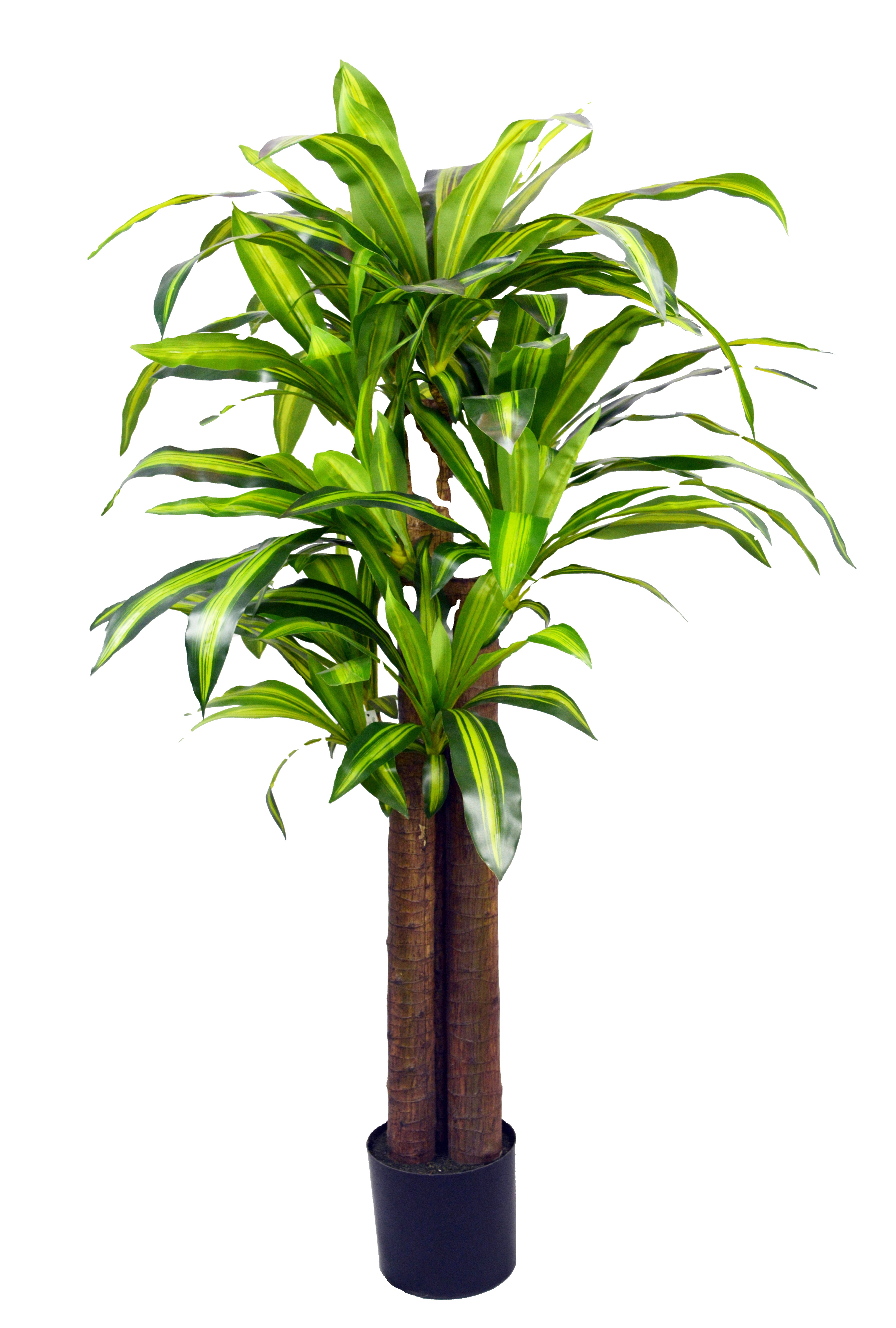 TW3327-5FT-3TR.jpg