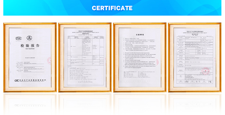 Women's Short Curly Wig