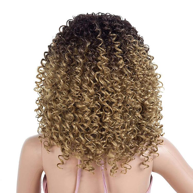 Ombre Brown and Blonde