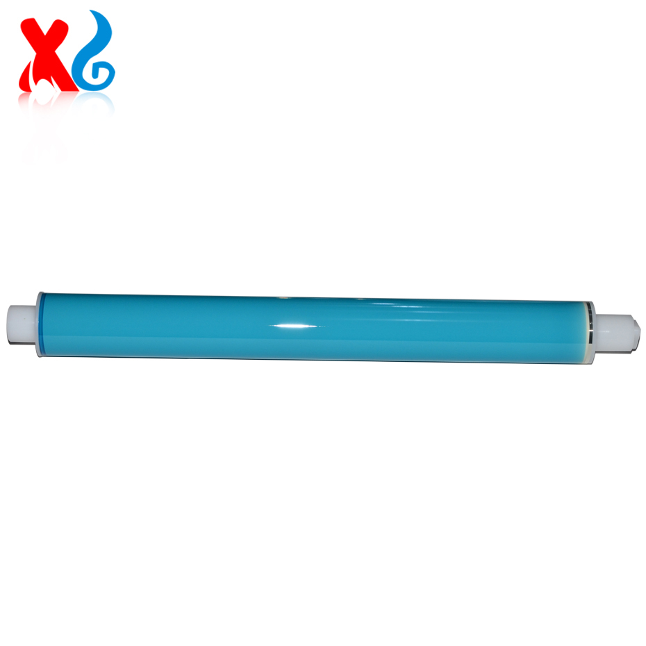 CP1025 B.jpg