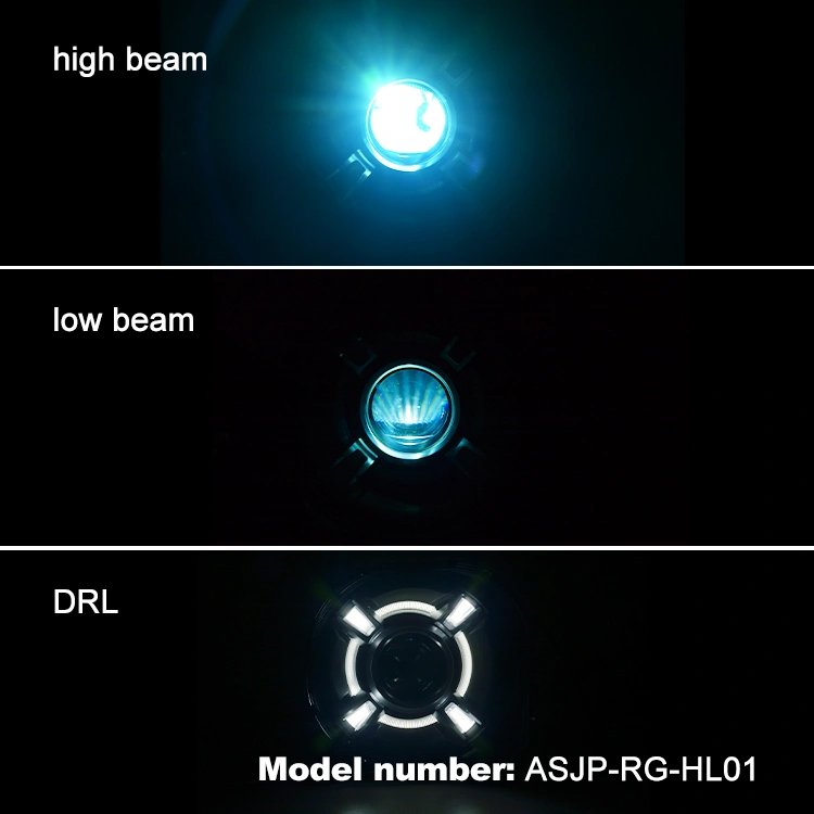 ASJP-RG-HL01 18