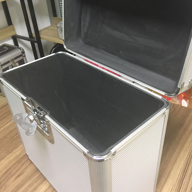 vinyl record case