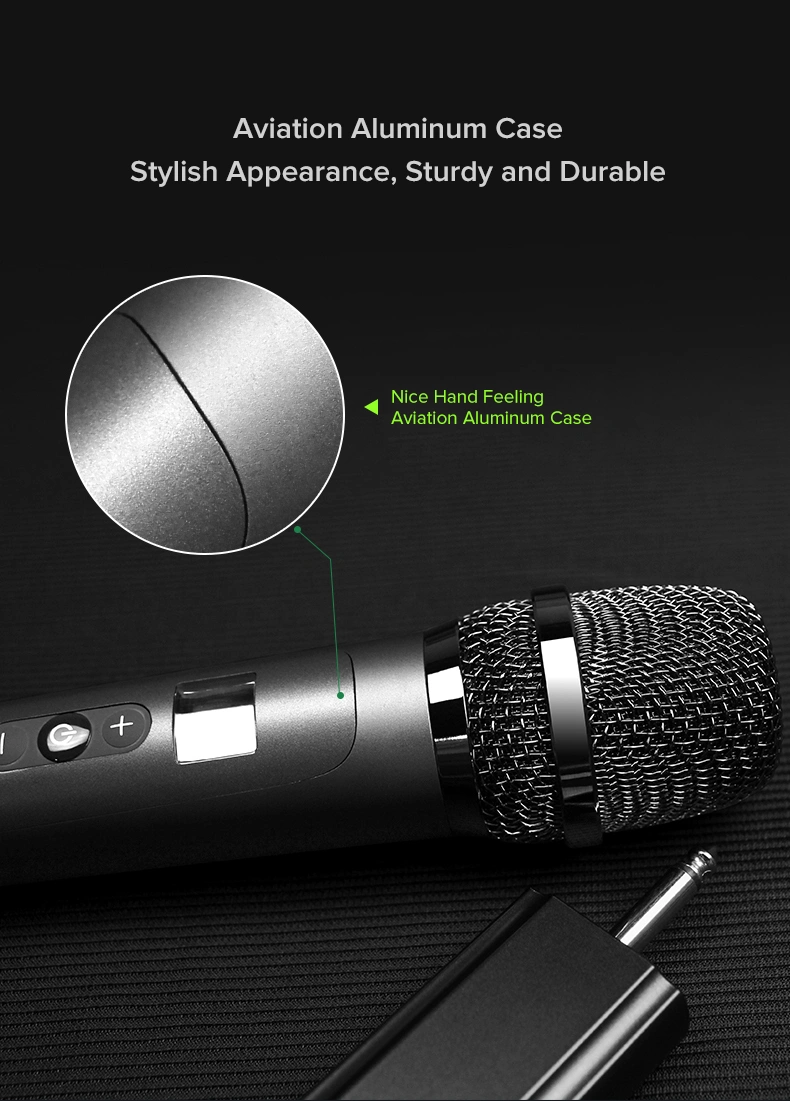SHIDU U30 double wireless with 2pcs Rechargeable Professional UHF Wireless Handheld Microphone with receiver for Speech/Church