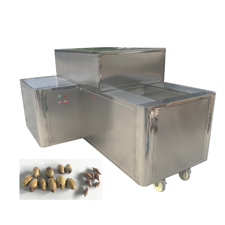 olive pitter machine