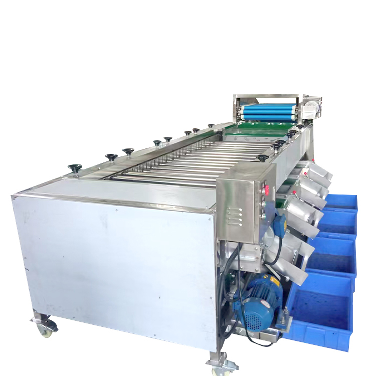 roller type fruit sorting machine
