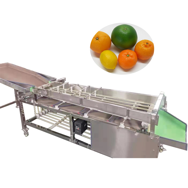 fruit grading machine