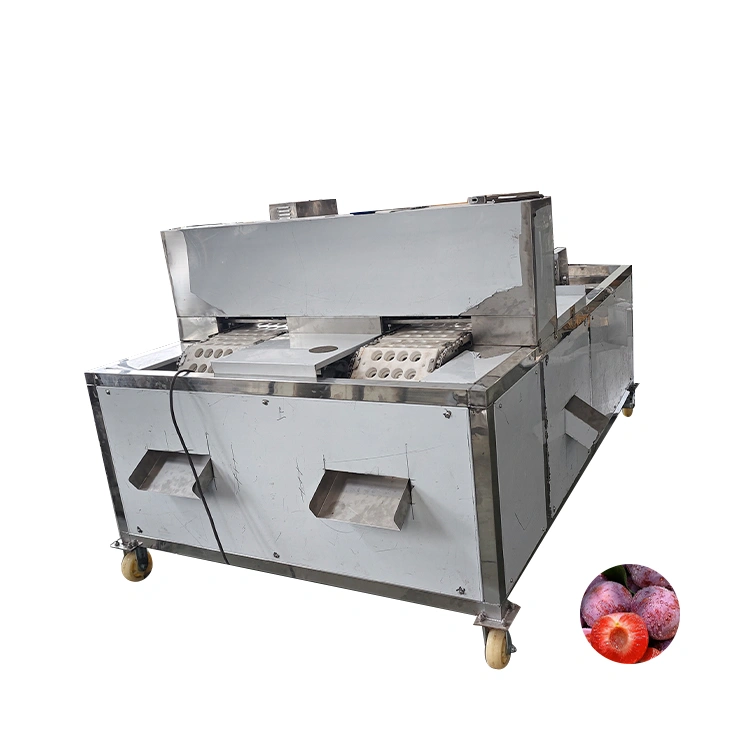 plum seed remove machine