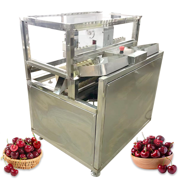 plum pitting machine