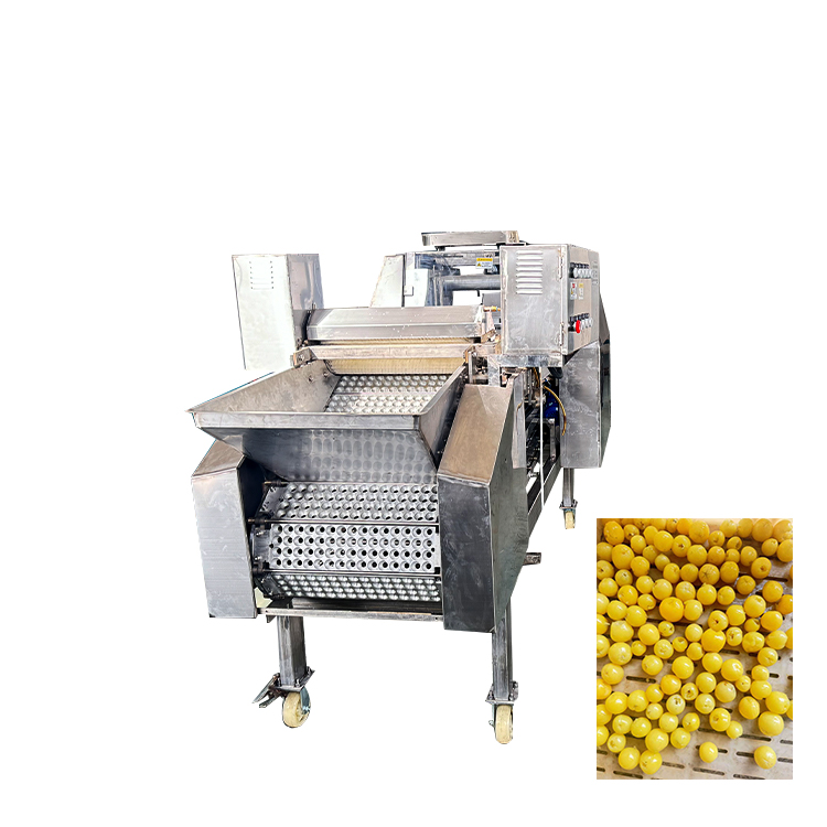 cherry pitter machine
