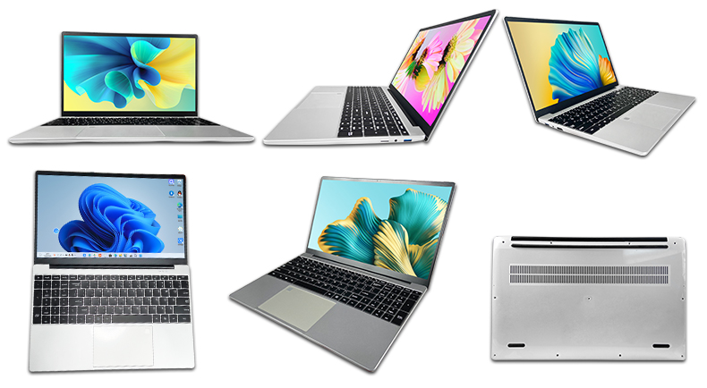 Laptop external graphics card