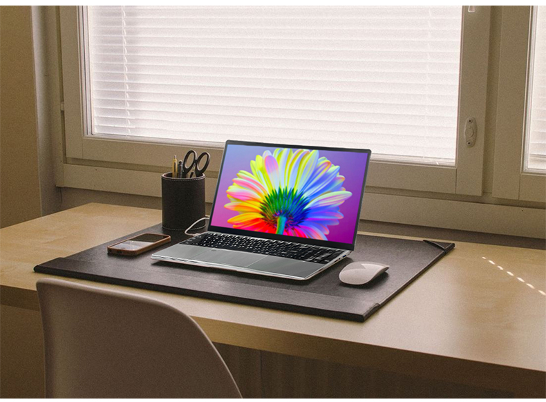 Laptop external graphics card