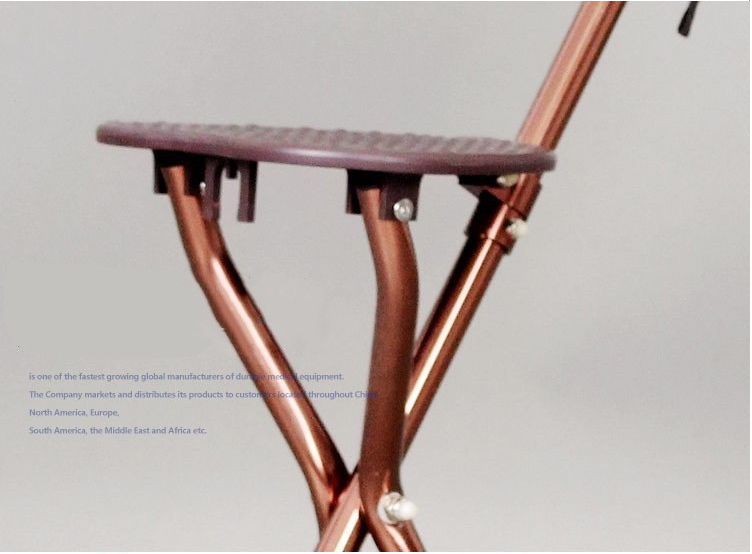 elderly cane13.png