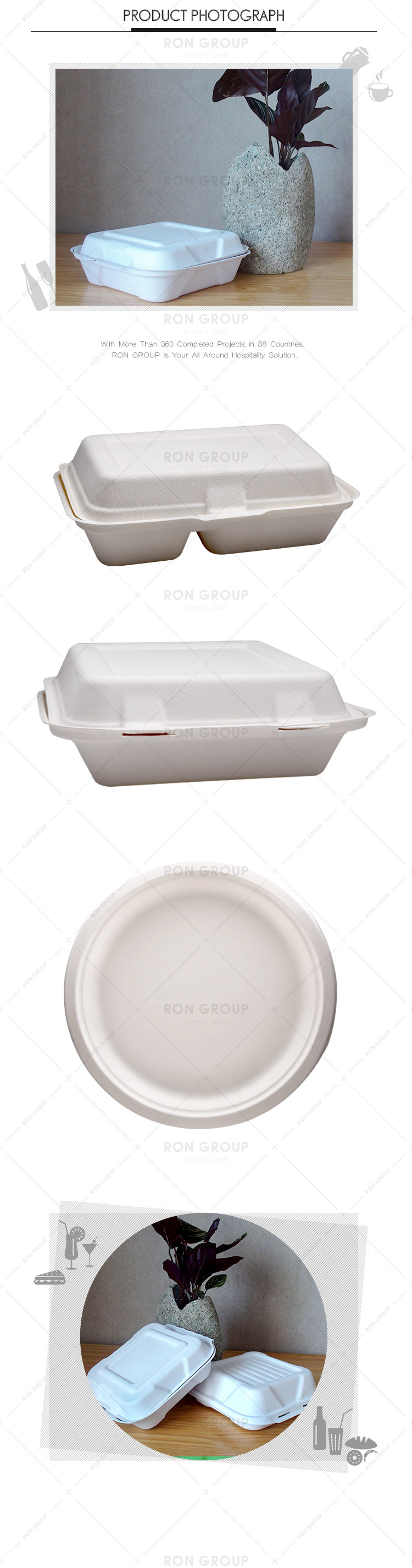 Restaurant disposable 1000ml sugarcane divided food container
