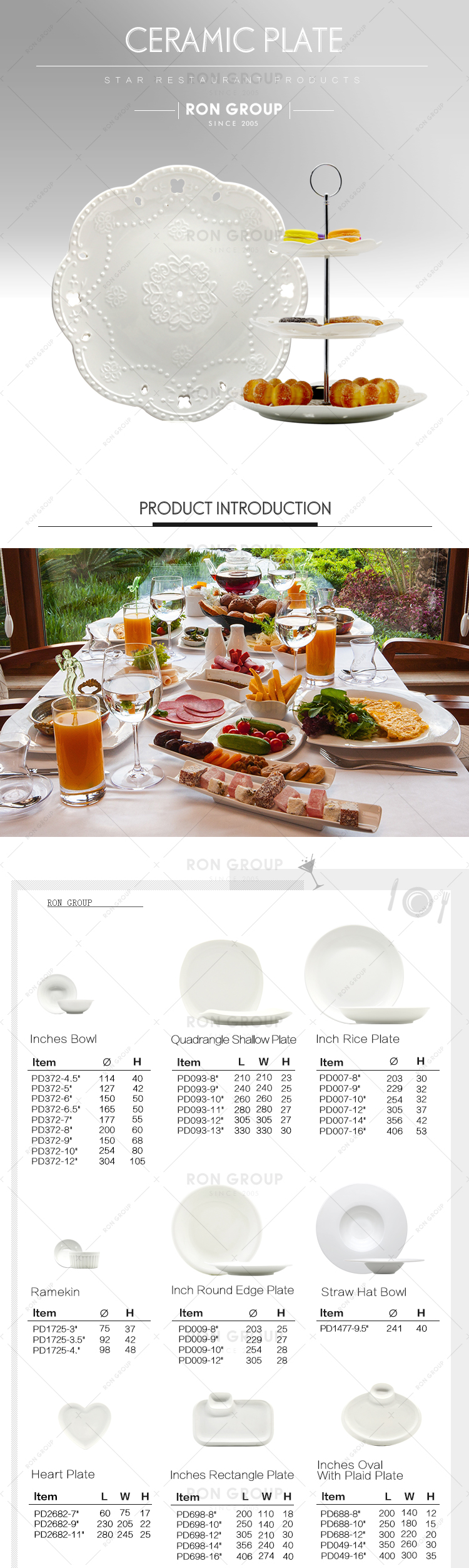 Restaurant catering porcelain round 5 compartment dinner plates