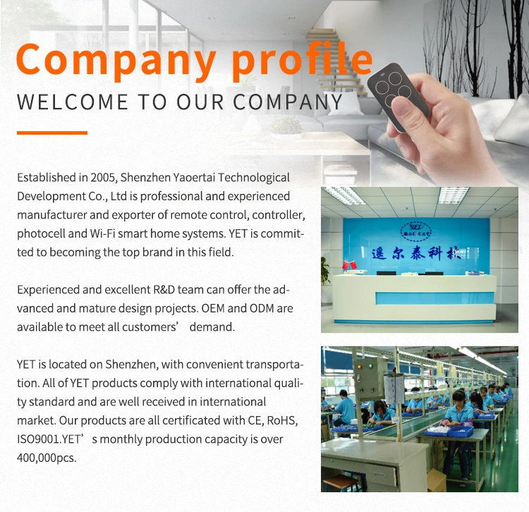 remote control factory