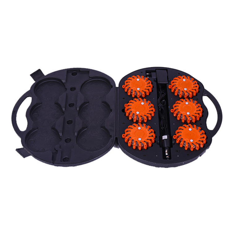 IMG_8895.JPG