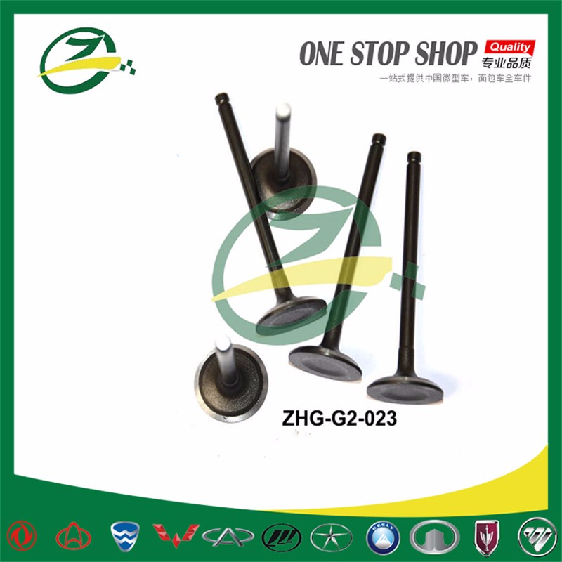 ZHG-G2-023-intake&exhaust vavle.jpg