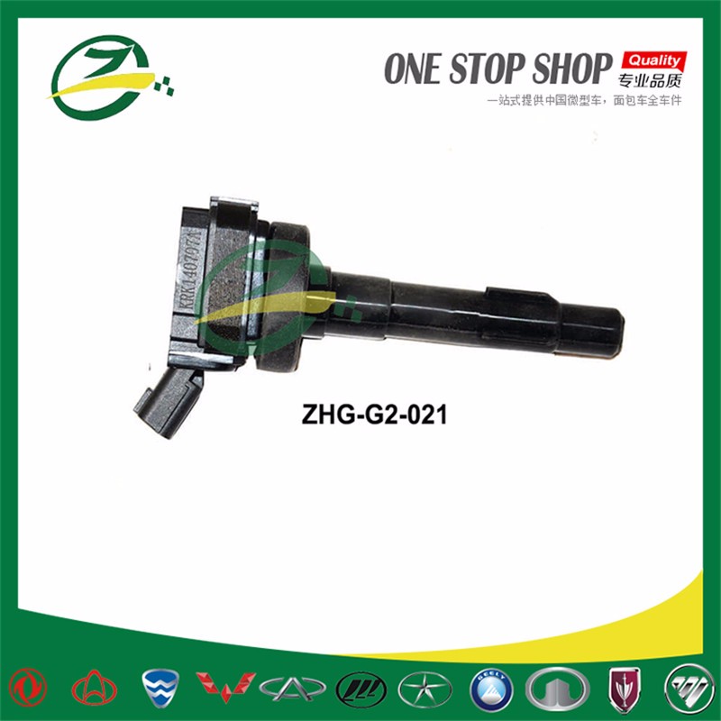 ZHG-G2-021-engine ignation coil.jpg