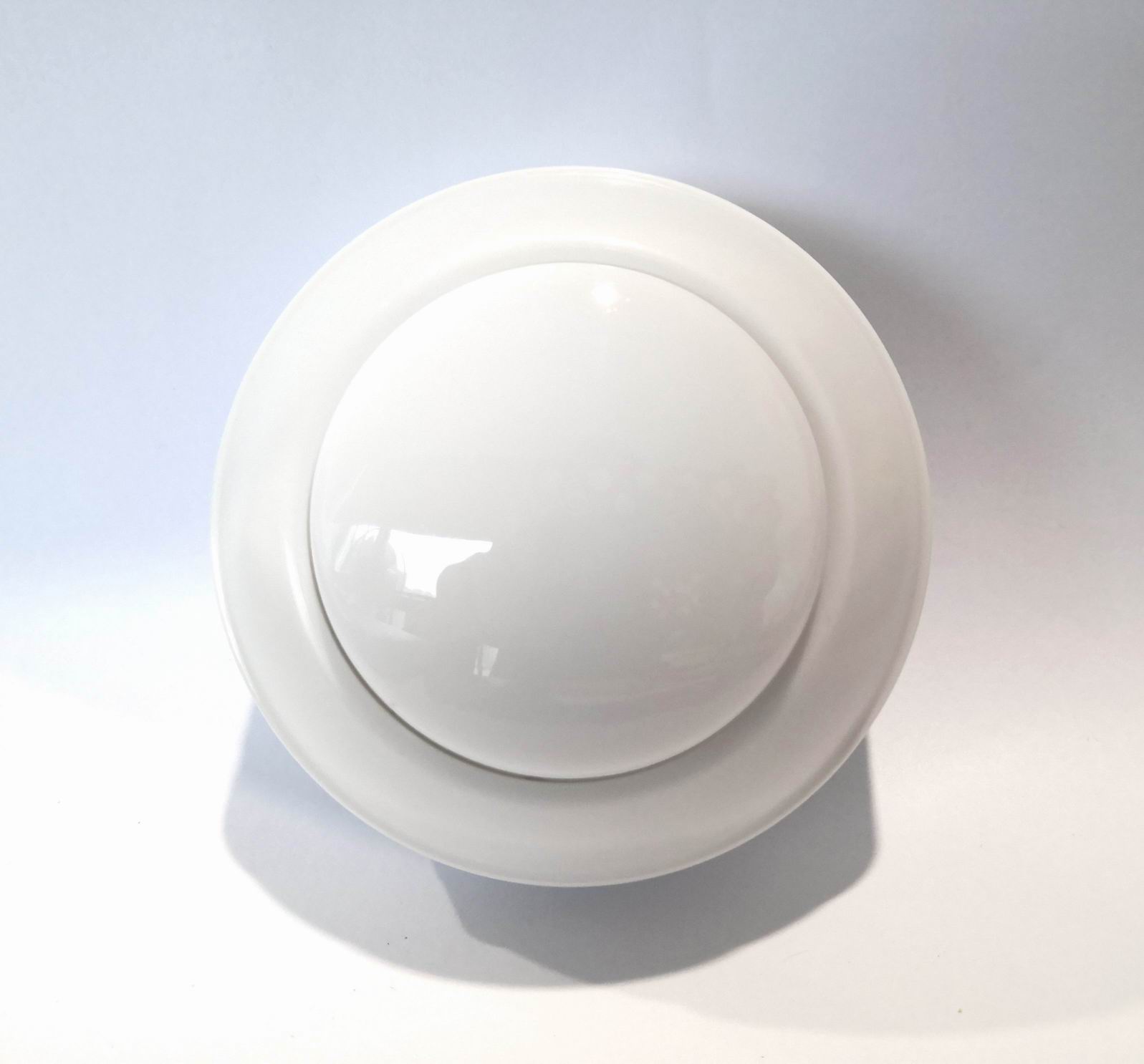 B008 white03.jpg