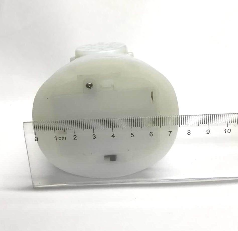 Bird module 05