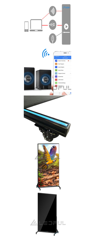 .jpg