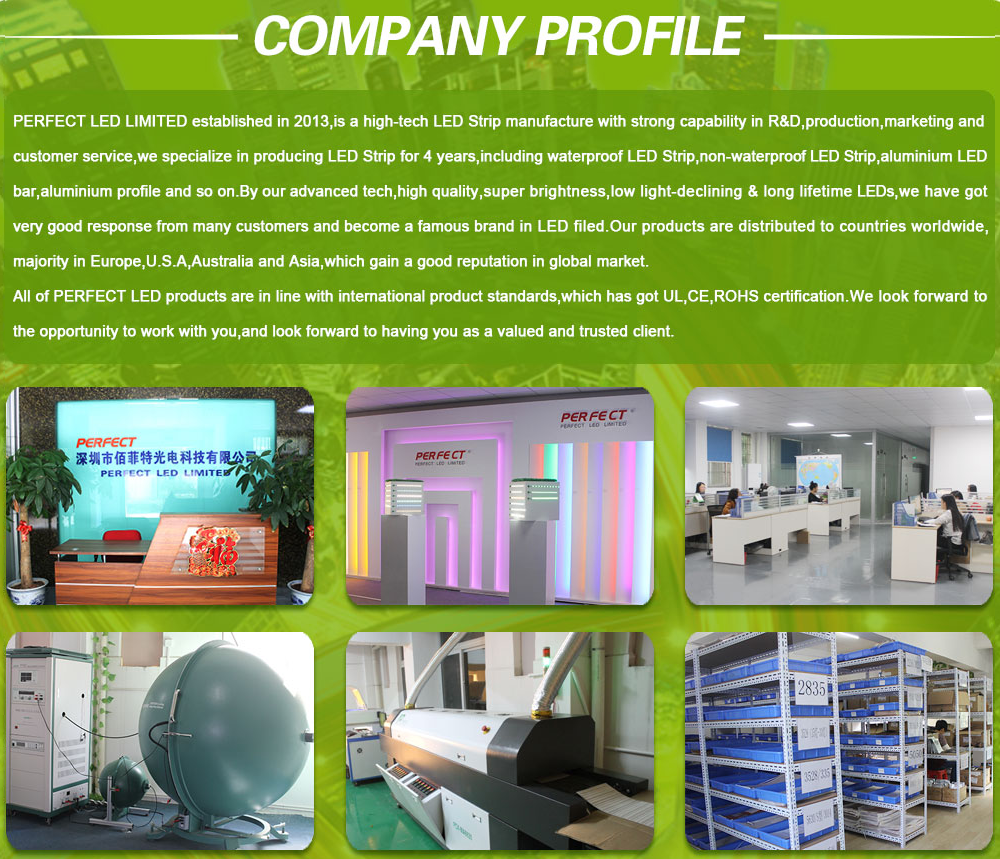 High efficiency 160lm/W constant current led ribbon IP20 IP65 IP67 2835 led strip without resistor