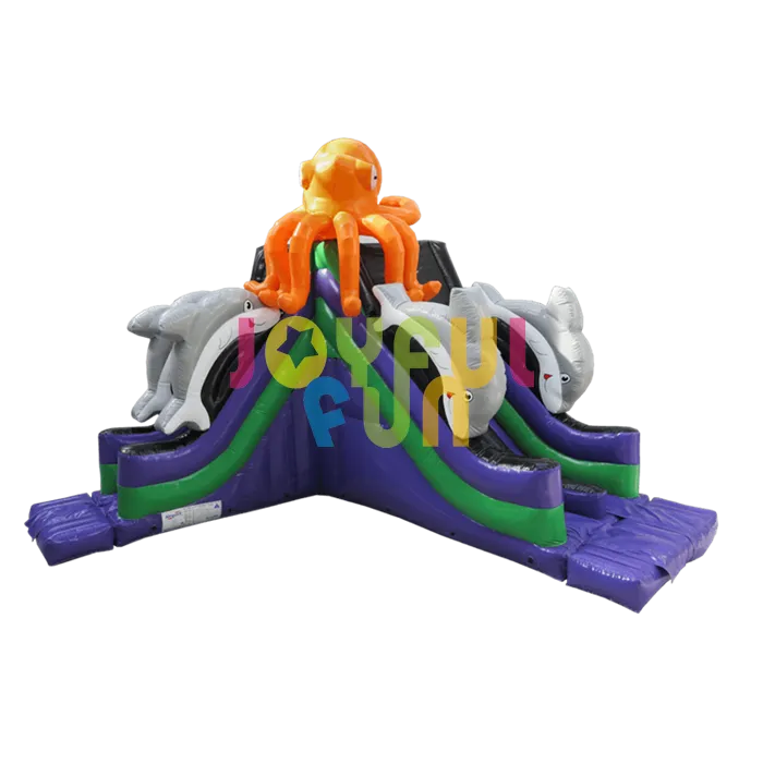 Inflatable Dry Slide