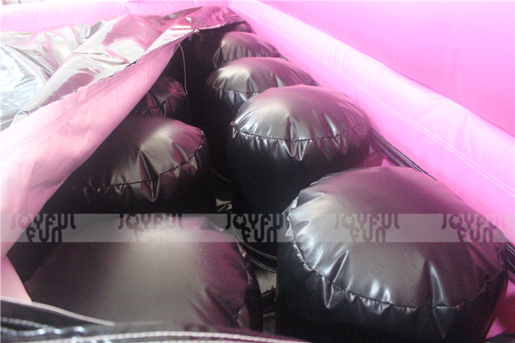 Inflatable Air Bag