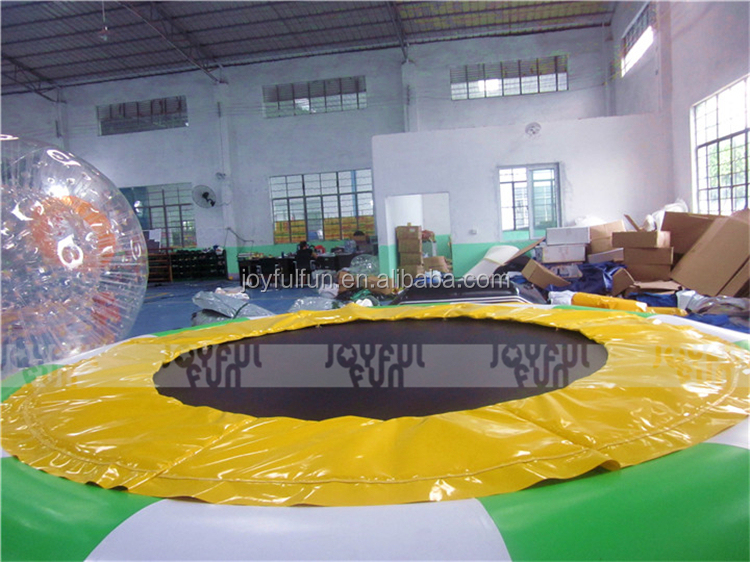 Inflatable Water Trampoline
