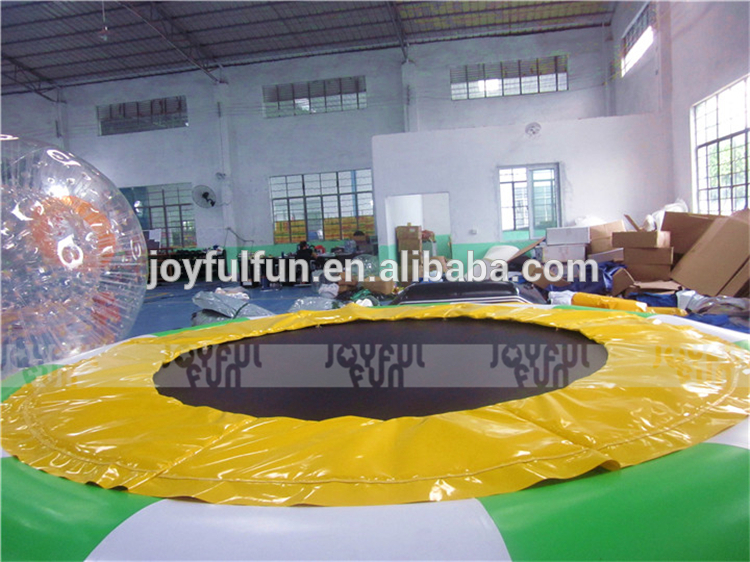 Inflatable Water Trampoline
