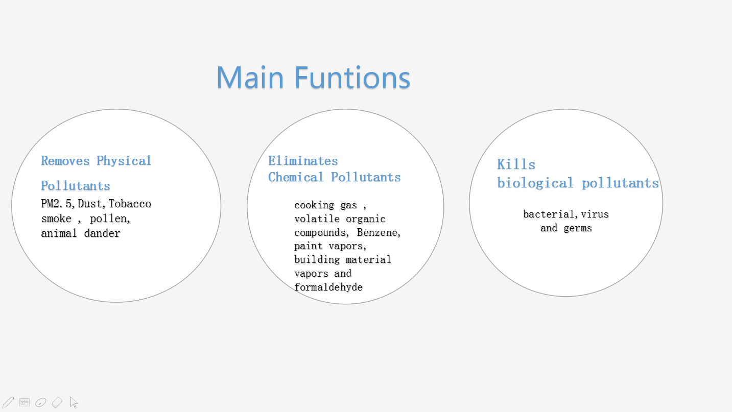 Main Function.png