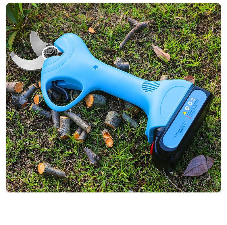 electric shear (2).jpg