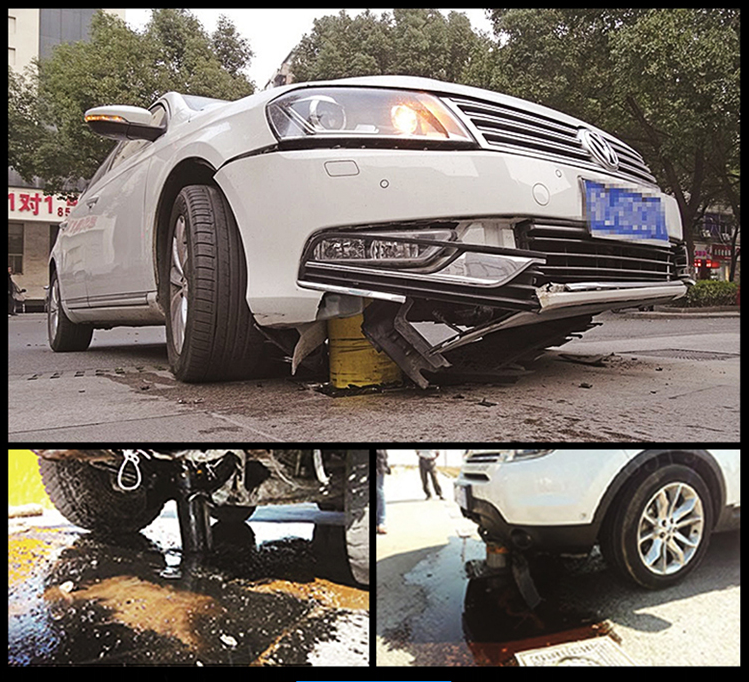 Bollards case