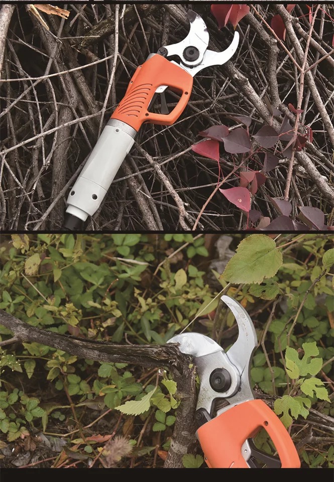 electric pruner (17).jpg