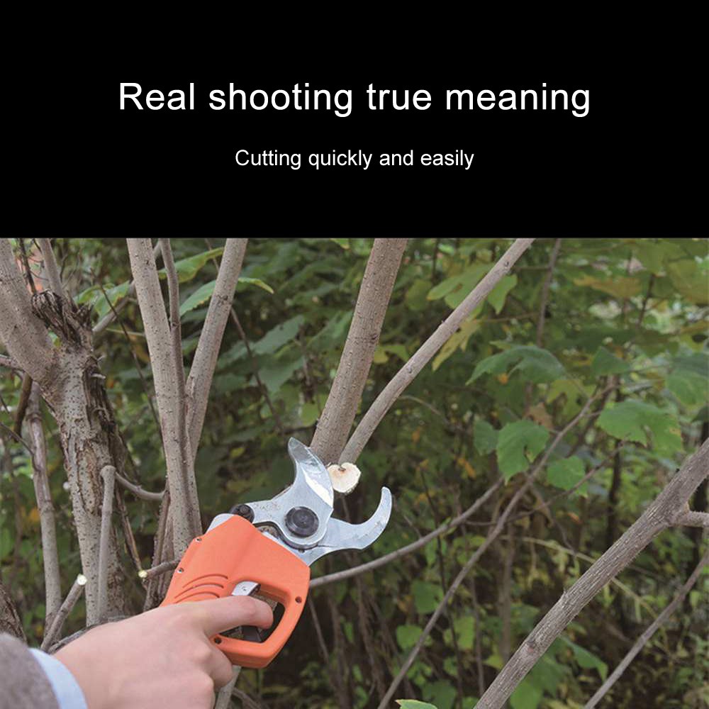 electric pruner (23).jpg