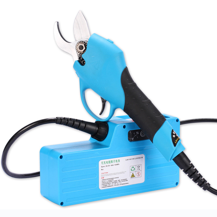 Pruning Shear (1).jpg