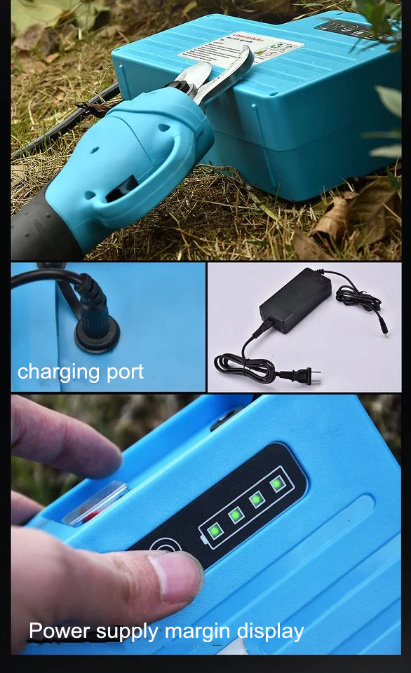 photobank (12).jpg
