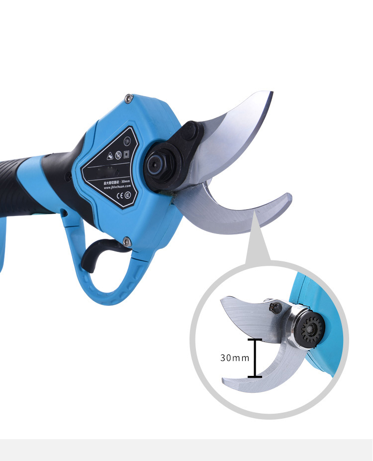 Pruners (5).jpg