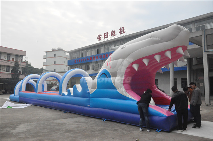 inflatable water slide05.jpg