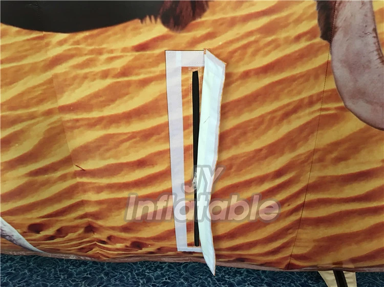 inflatable slide05.jpg