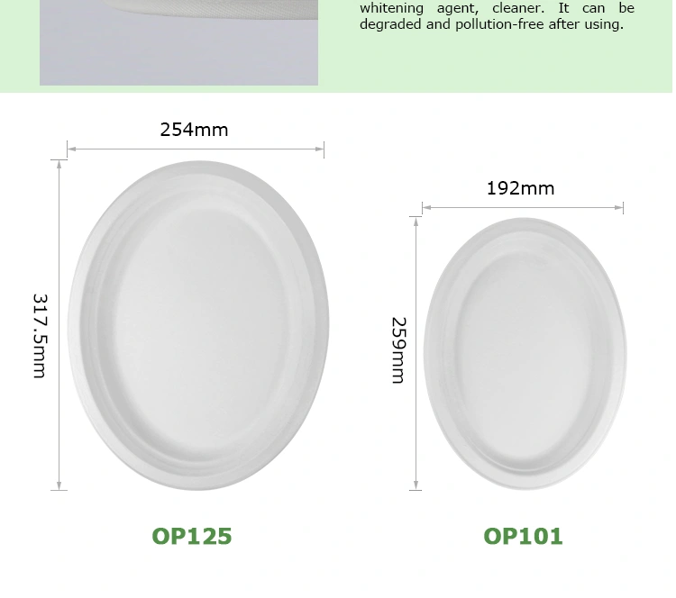 OP101new_04.jpg